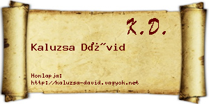Kaluzsa Dávid névjegykártya